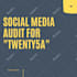 conduct social media audit