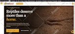 convert, clone, migrate and redesign any website to wordpress