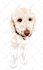 do vector illustration dog cat animal pet cartoon portrait