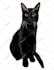 make vector illustration dog cat animal pet cartoon portrait