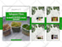 design ebook, guide, lead magnet, presentation