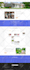 create a responsive wordpress website or blog