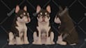 sculpt high detailed 3d characters for 3d printing