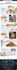 develop amazon brand store and storefront design for you
