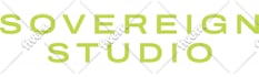 create professional custom logo design