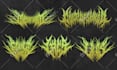 design custom logo for music band, dj, brand or streetwear