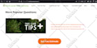 fix wordpress issues , wordpress errors or wordpress problems