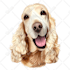 create a custom cartoon vector portrait of your pet