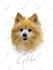 do realistic custom pet portrait digital oil painting gift