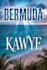 do amazon kdp book publishing, kindle ebook formatting, publish book on amazon