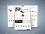 develop your ecommerce website with magento 2
