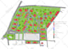 draw map illustration site plan and landscape design