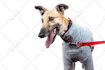do any photoshop editing
