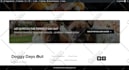 wordpress bug fix, woocommerce bug fix, contact form issue