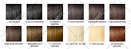 create a custom graphic design