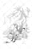 draw 19th century engraving style illustrations