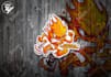 create custom logo, sticker, patch, mascot, t shirt design