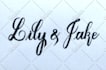 handwrite your letter in my neat cursive calligraphy style