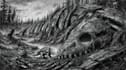 draw professional black and white illustrations
