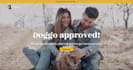 design a professional squarespace website or landing page