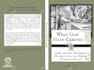 create amazing book cover, paperback, amazon kdp