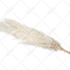 provide handmade clipping path and bulk image background removal