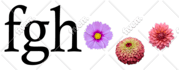 vectorize, redesign, update, fix, edit, modify, logo