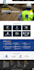 design a professional wordpress website using elementor