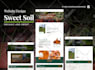 create wordpress website and landing pages