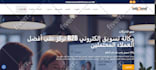 do wordpress website translation using wpml, fix wpml issues