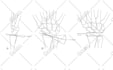 do manual vector tracing, logo to vector, svg and adobe illustrator artwork