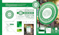 design a premium brand identity and brand guidelines