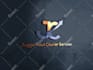 create a beautiful and professional logo design