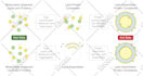 create scientific illustrations, diagrams and graphical abstracts