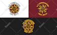 create a professional logo design