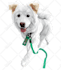 draw any pet photo into simple vector illustration