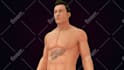 create 3d medical animation, 3d surgery animation, 3d human anatomy animation