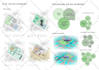 design house 3d model on sketchup and render