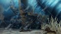 draw landscape illustrations and backgrounds