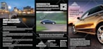 design premium quality brochure, catalog, booklet in canva or adobe