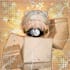 create an attractive pfp for your roblox avatar