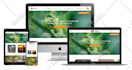 speed up wordpress with gtmetrix and pagespeed insights