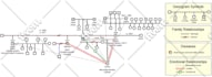 create a correct and detailed genogram