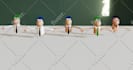 model a stylized 3d character for games and films