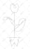 design you a custom sigil