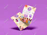 create label design package box design pouch bottle label
