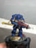 build, paint, and base your warhammer and fantasy miniatures