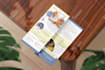 make stunning rack cards for your business