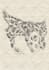 design custom japanese irezumi tattoo