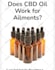 do cannabis cbd oil guest post on my cannabis blog